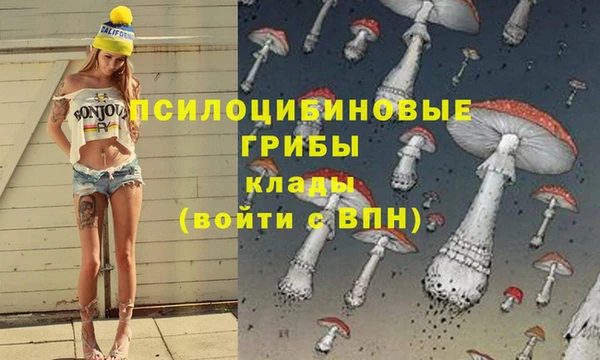 ALPHA-PVP Магас